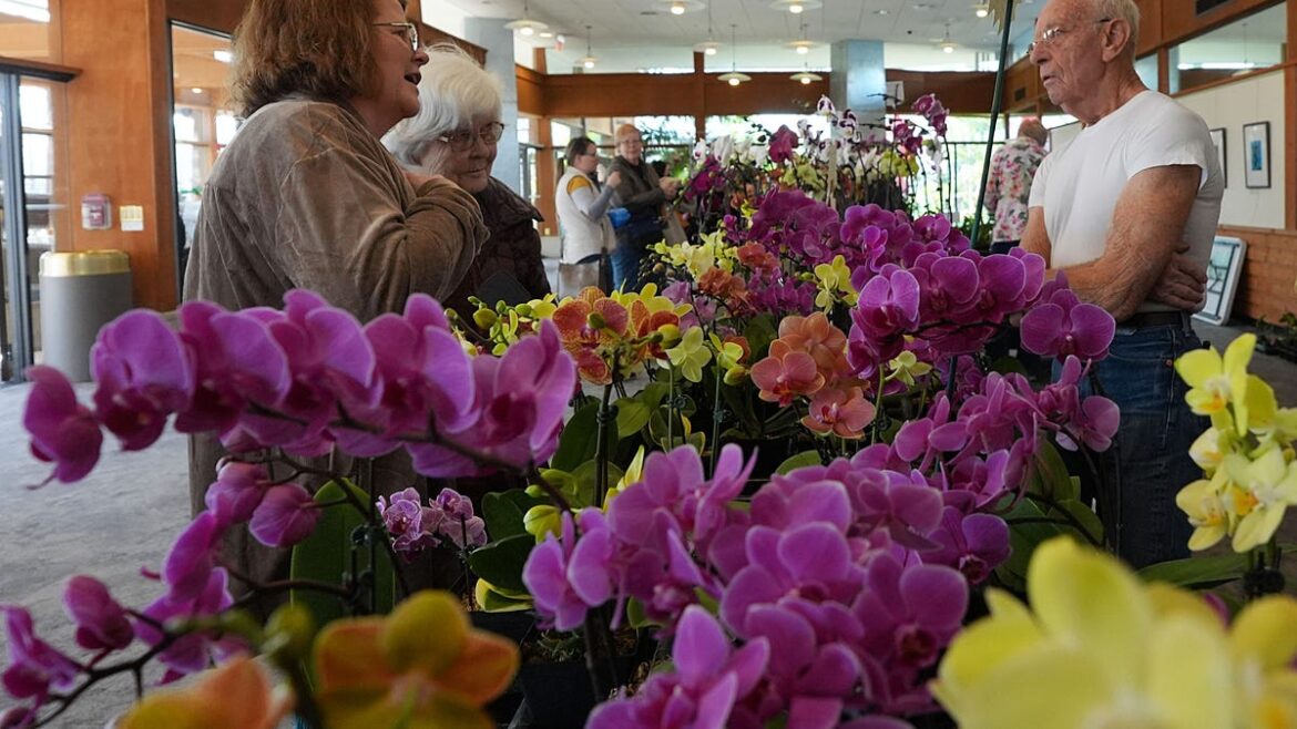 Dormant oils and how they work in gardening