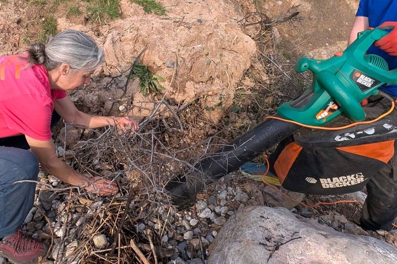 The reason garden vacuum was needed on remote Llandudno shoreline The reason garden vacuum was needed on remote Llandudno shoreline