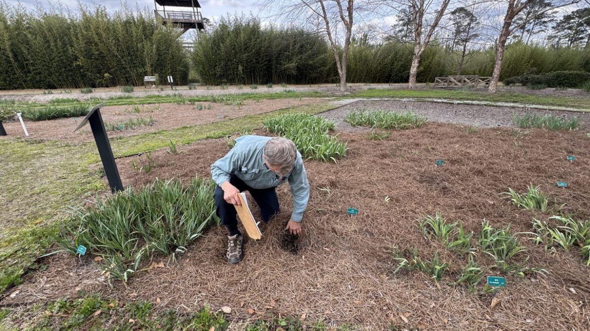 Warmer Winters Shrink Chill Hours, Changing What Gardeners Grow Warmer Winters Shrink Chill Hours, Changing What Gardeners Grow