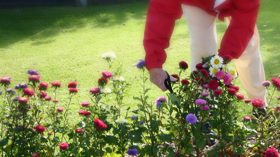 How can I make the most of spring gardening? How can I make the most of spring gardening?