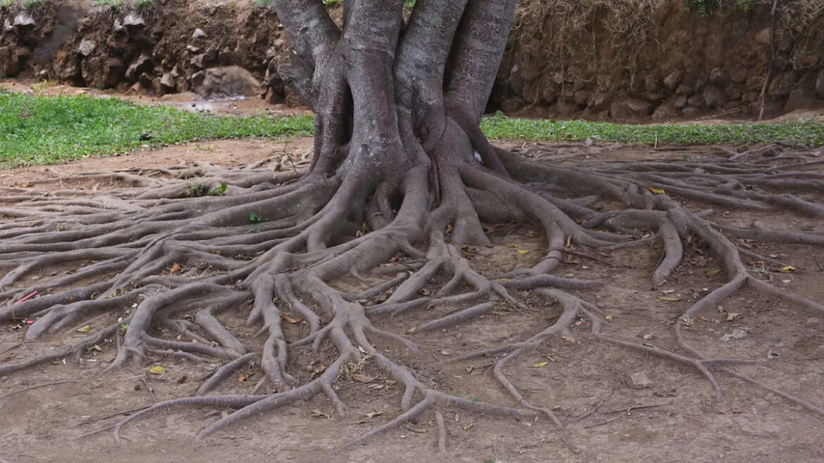 Yahoo lifestyle home