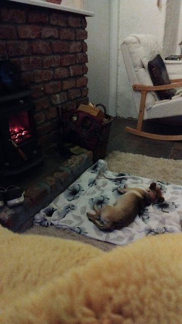 Damsel is now enjoying her 'dream life'