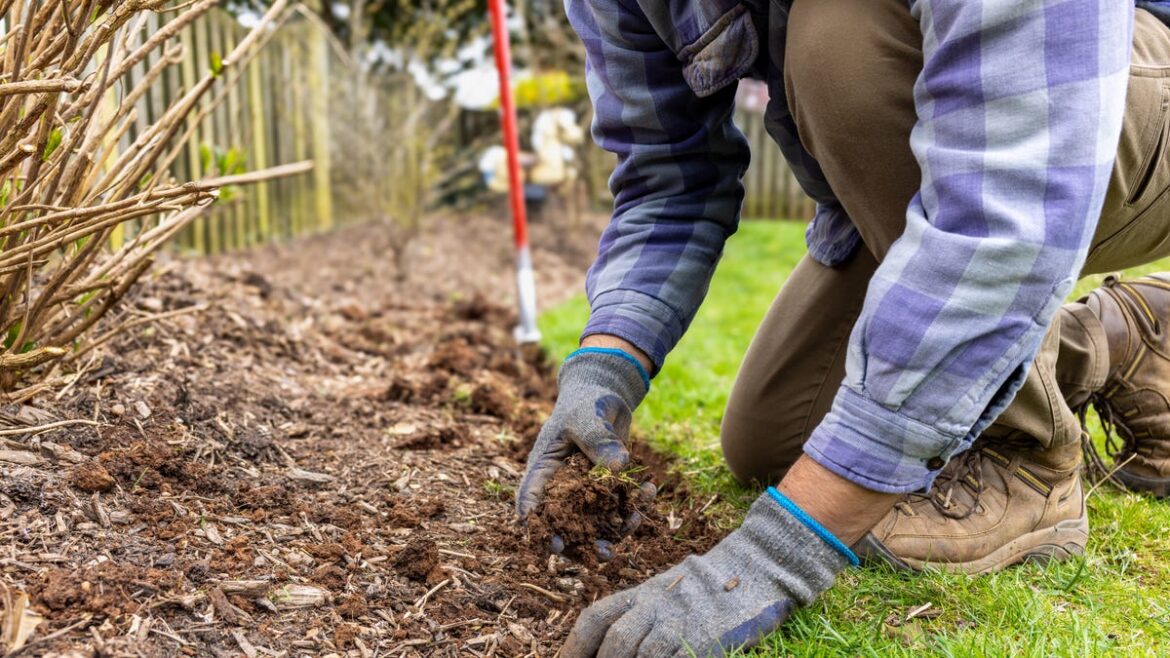 Use this spring gardening checklist for a pretty landscape all year