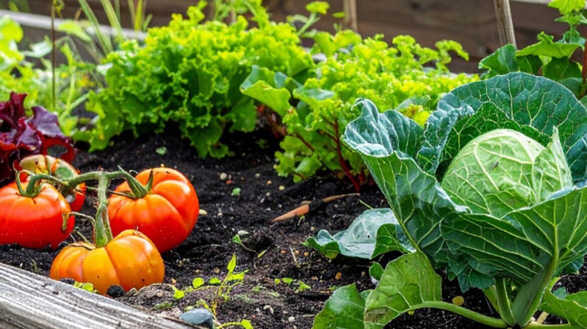 Free beginner-friendly gardening classes offered at Wausau library