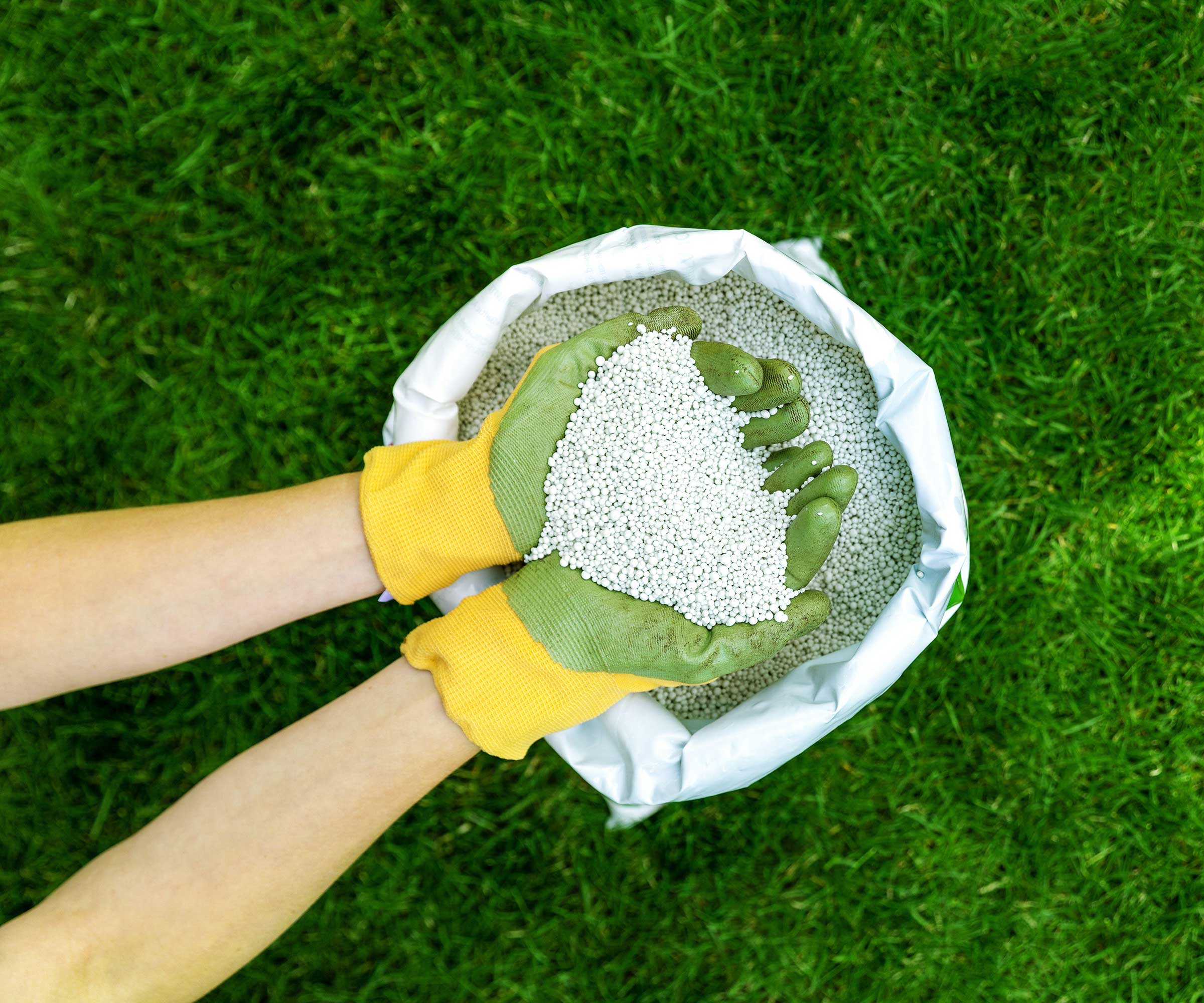 lawn fertilizer
