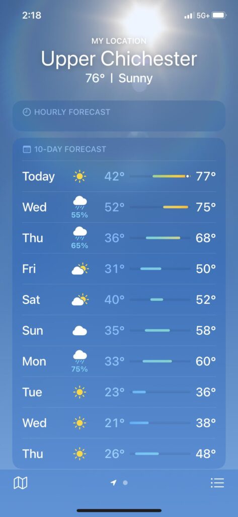 Is it too early to plant peas?