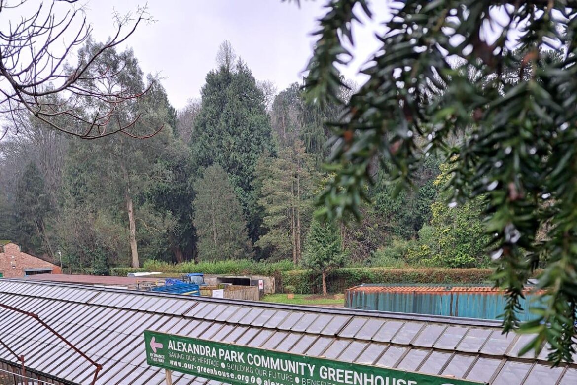 Popular open garden reopens with plenty of new events Popular open garden reopens with plenty of new events