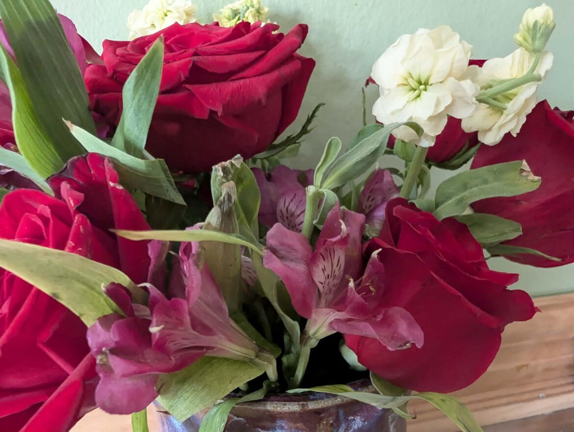 I think these are Peruvian lilies? (safe for cats?)