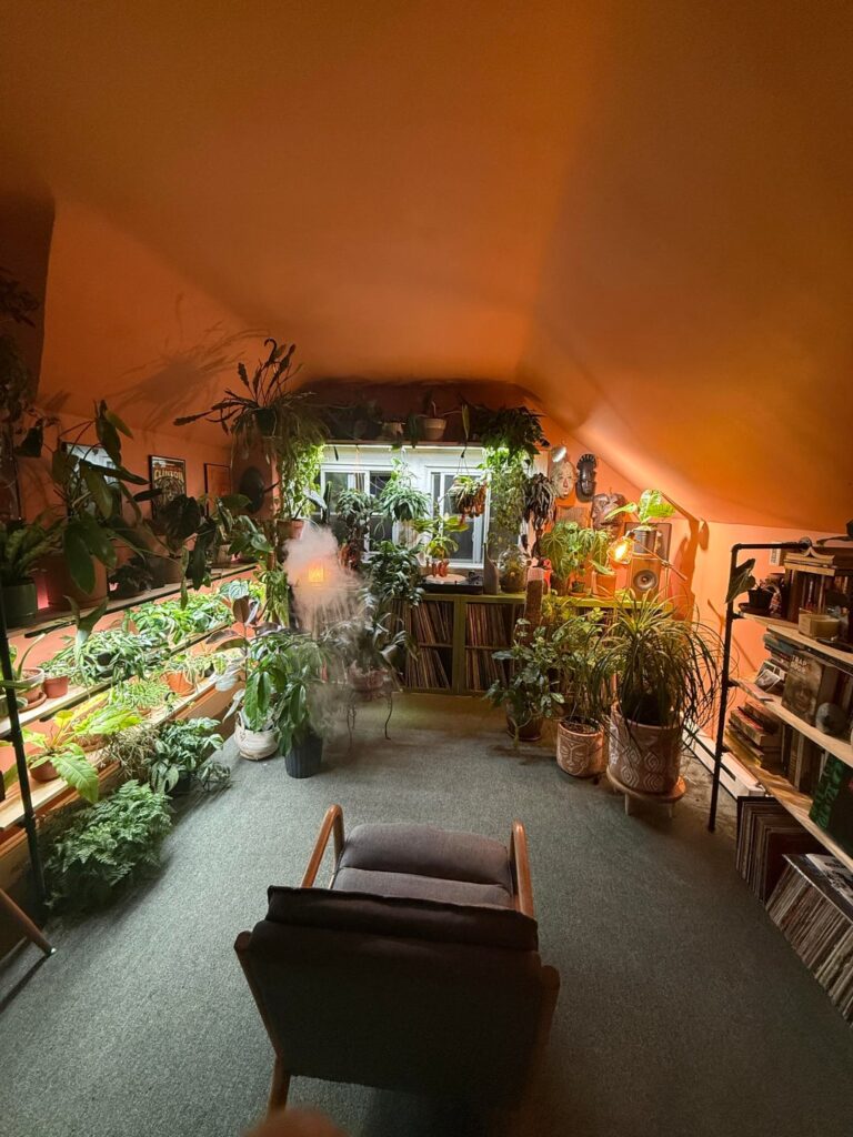 Some Rare Plants & Jazz