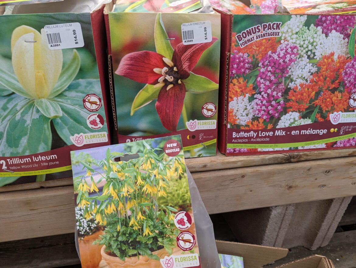 Seems like big commercial stores also selling native American plants