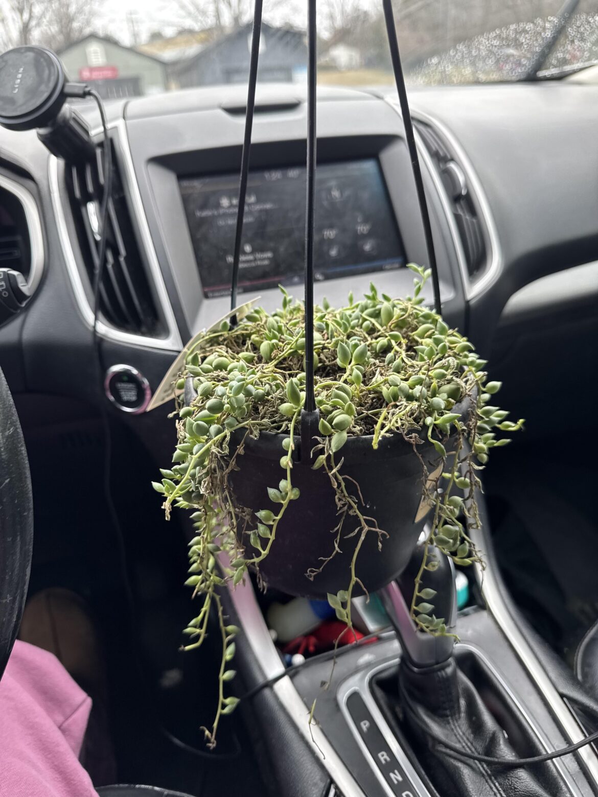 Saved from Lowe’s