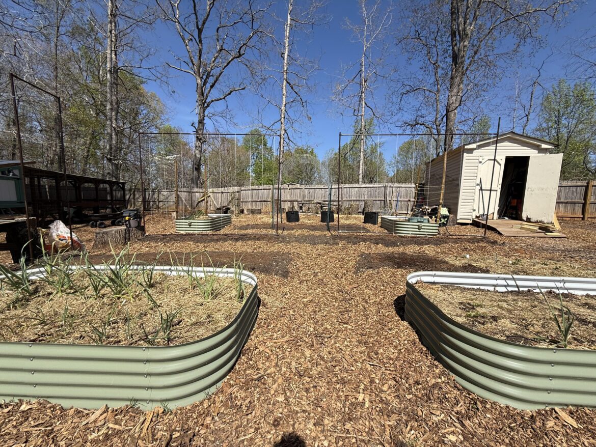First year trying a string trellis First year trying a string trellis