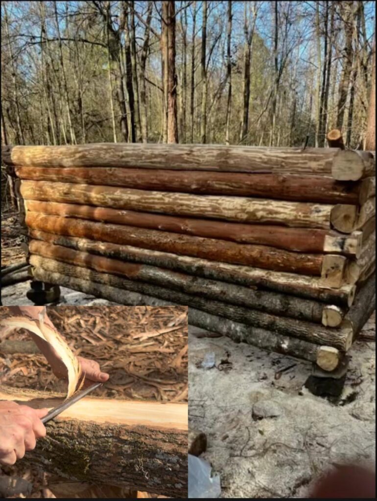 [OC] Building a cabin 1,000 yards from where my grandpa was born in 1922. Using his old draw knife.
