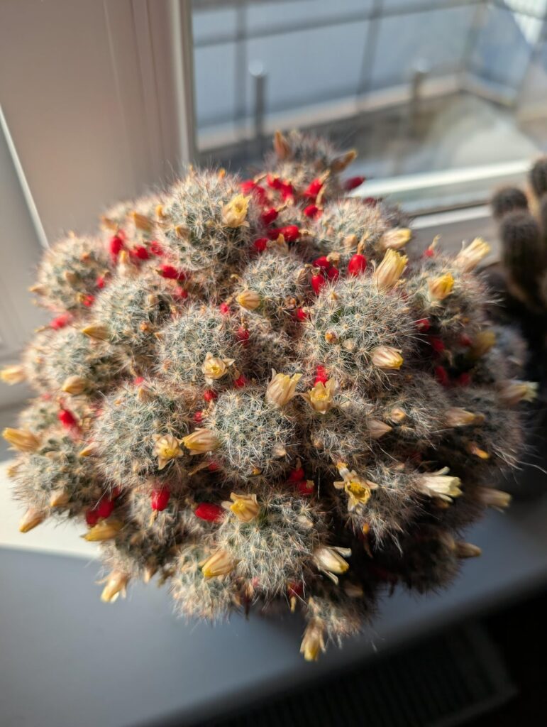 What to do with this thing?