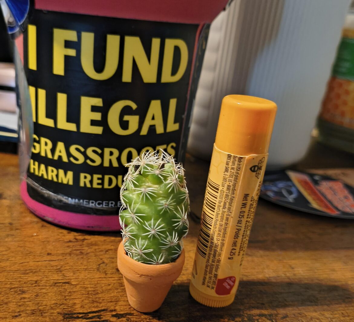 Thimble Cactus