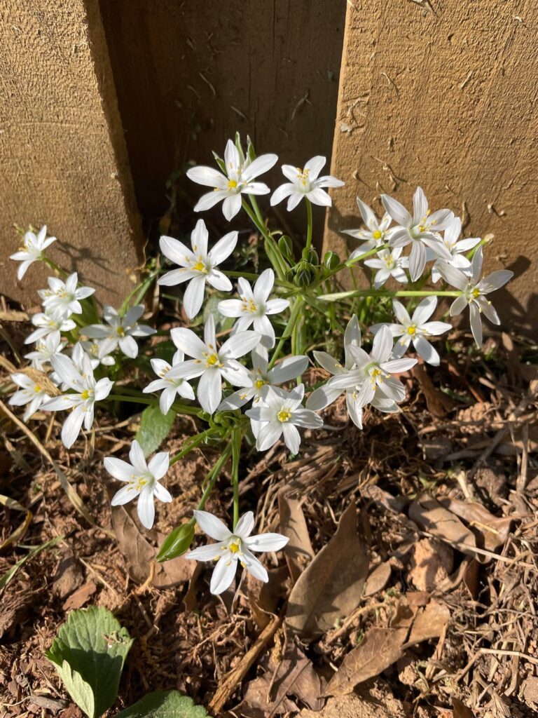 Any ideas?