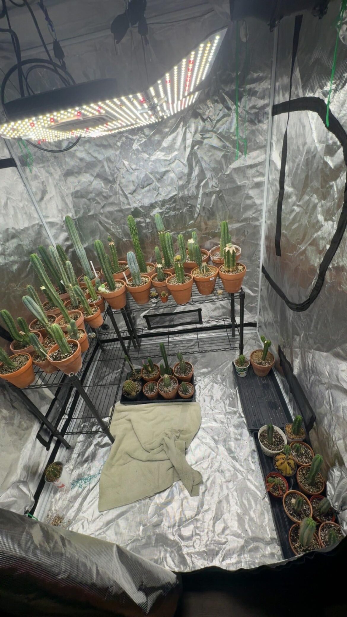 Looking for a drop-in bucket water pump+wand