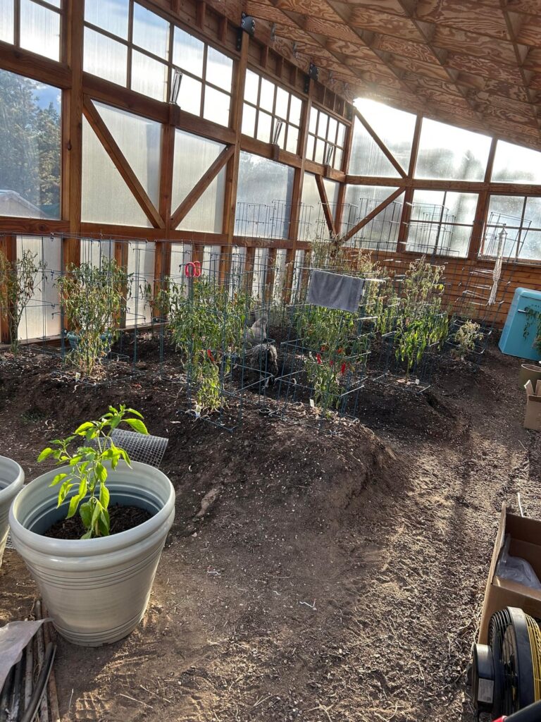 I’ve finished the garden beds! Progression pics feat some of the flock (last 4 are today)🤪