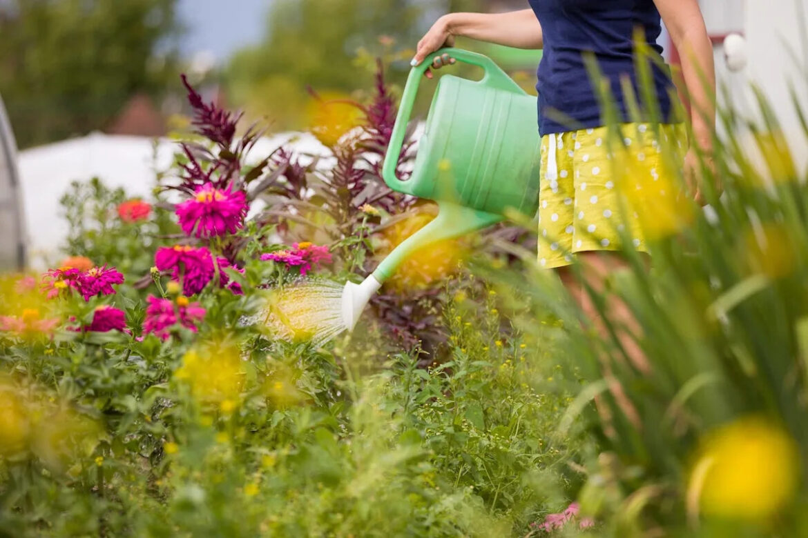 A Gardening Expert Explains How Plant Hardiness Zones Affect Your Garden A Gardening Expert Explains How Plant Hardiness Zones Affect Your Garden