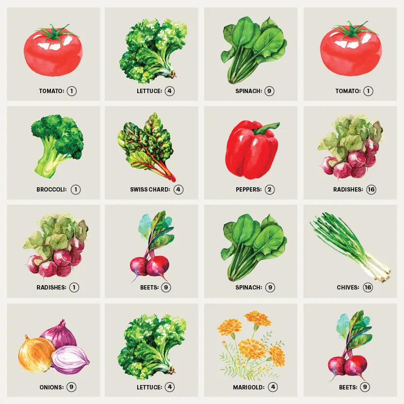 square foot gardening chart