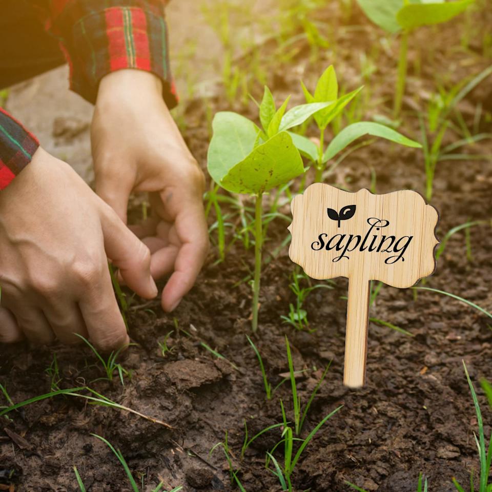 Amazon Has the Gardening Tools You Need for Spring
