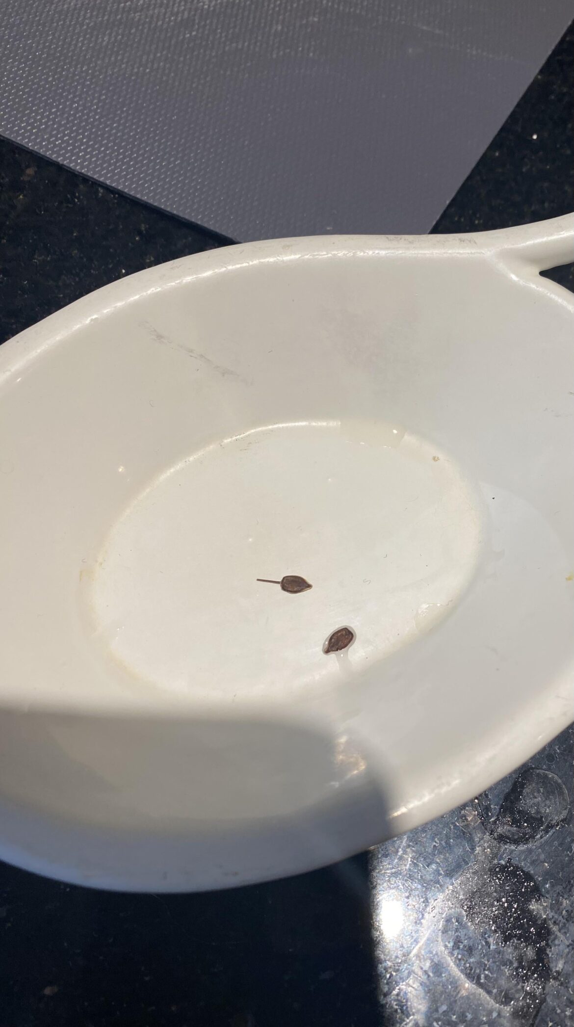 What is this in my bag of dry rice