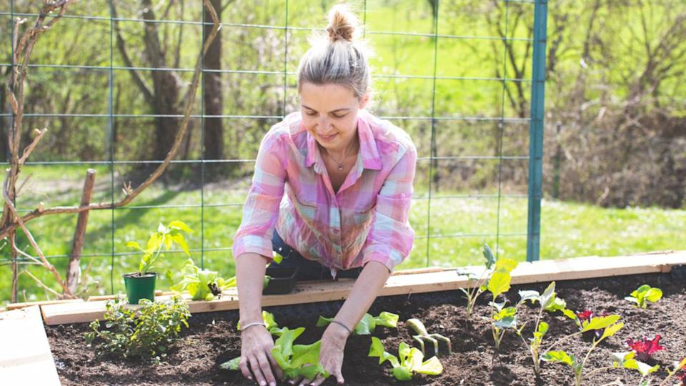smiling woman in a pink plaid shirt planting lettuce in a garden box