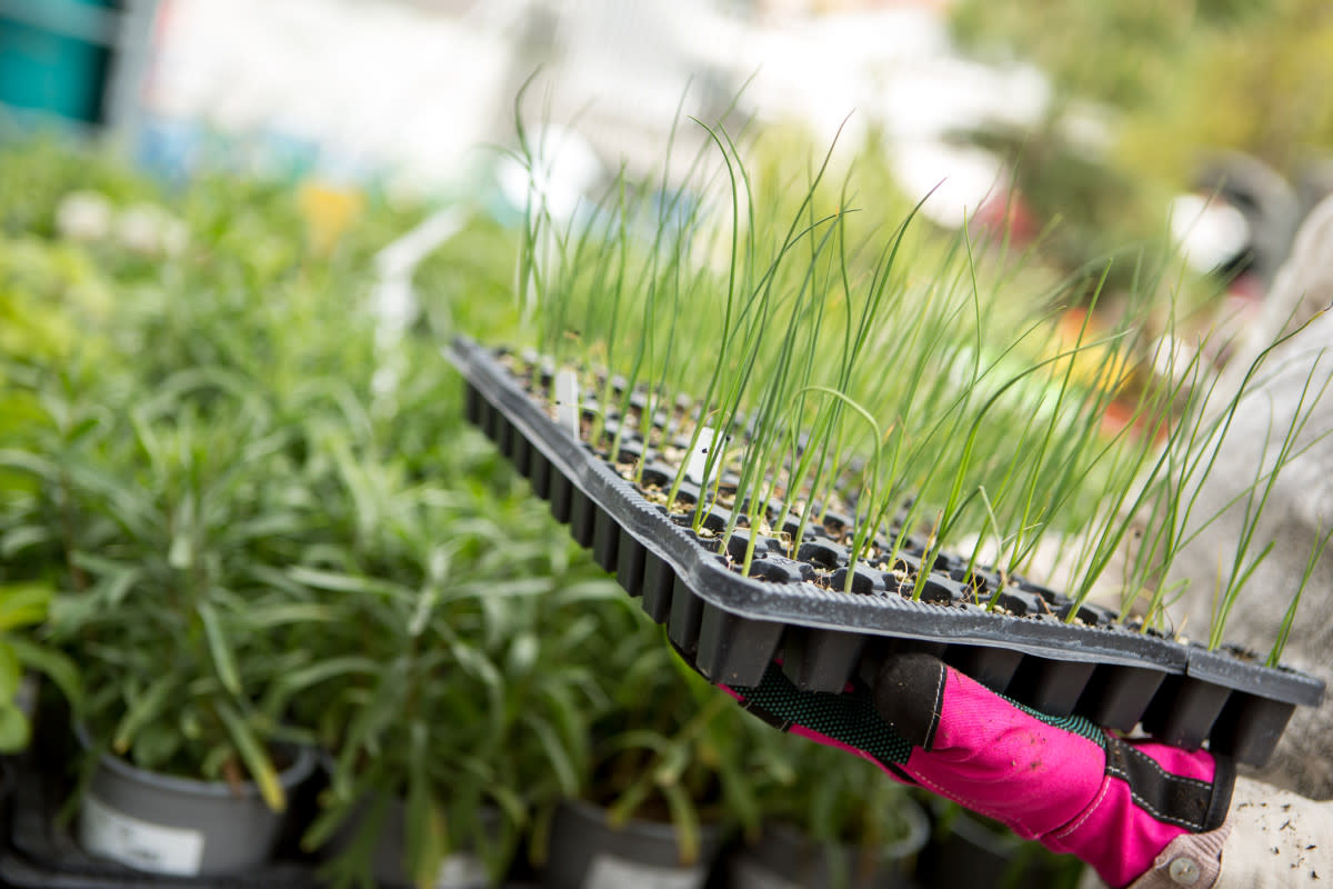 Photo by Coolpicture on Getty Images