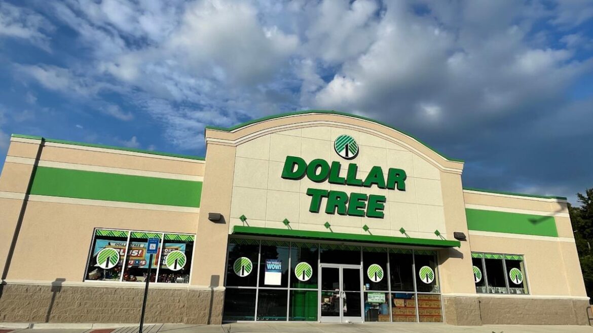 This Smart Dollar Tree Hack Turns a Simple Waste Basket Into a Garden Cloche