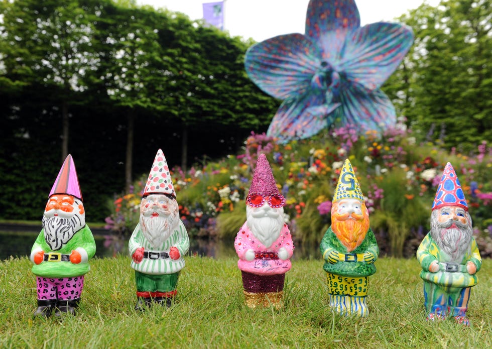 20th may, 2013: the chelsea flower show celebrates its 100th birthday this week. today is press day with celebrities and members of the royal family being given a sneak preview. garden gnomes have always been a no no at the prestigious show, but this year they have been welcomed for the first time. .here: garden gnomes specially designed by elton john, lily allen, joanna lumley, dame maggie smith. (photo by justin goff photos/getty images)