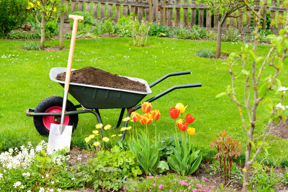 wheelbarrow with compost for the flowerbeds