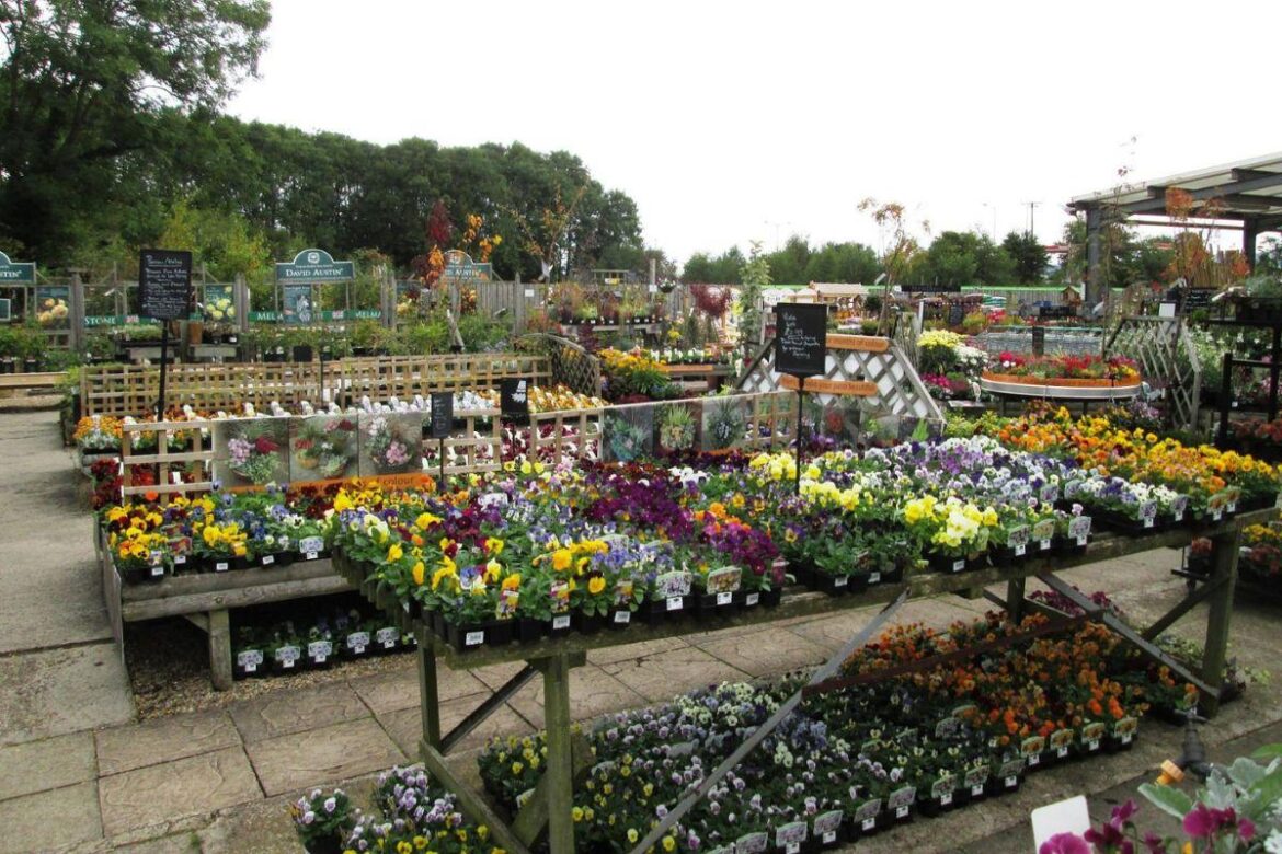 The ‘gem’ of a North Yorkshire garden centre that's a must‑visit for lunch in spring