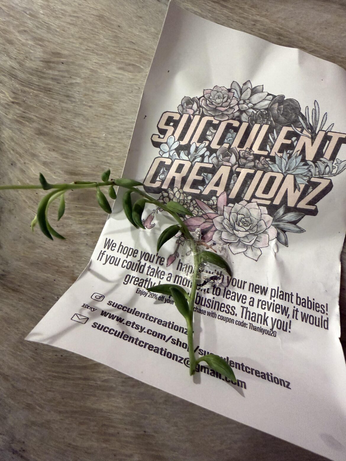 How do I plant?