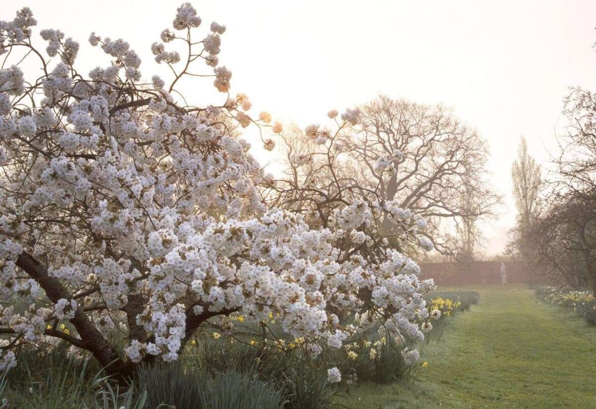 Stunning spring gardens with seasonal flowers to visit in Kent in 2026 Stunning spring gardens with seasonal flowers to visit in Kent in 2026