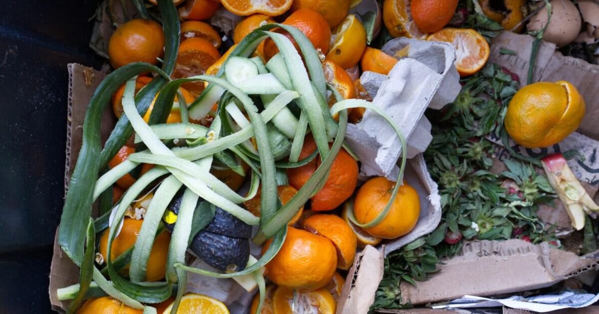 Composting can be wildly frustrating. Maggots to the rescue [ARTICLE]
