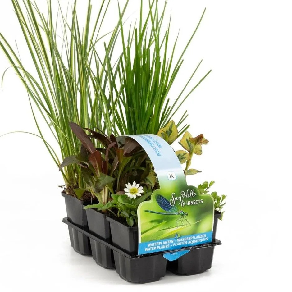 What to know about 'pollywiggle' gardens