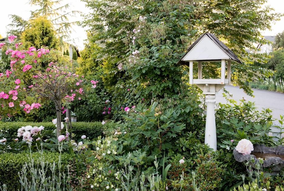 Credit: Laurie Black