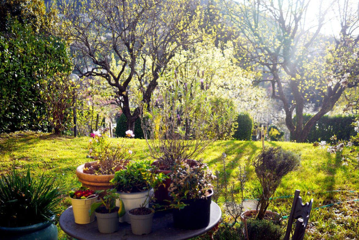 3 Essential Early Spring Gardening Tasks (and 3 You Can Skip) Dengarden