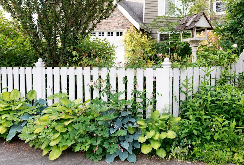 Credit: Laurie Black