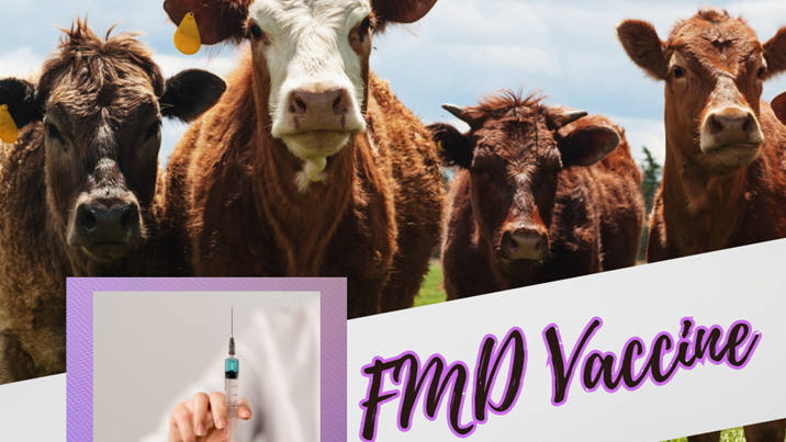 Foot and Mouth Disease: Garden Route stats Foot and Mouth Disease: Garden Route stats