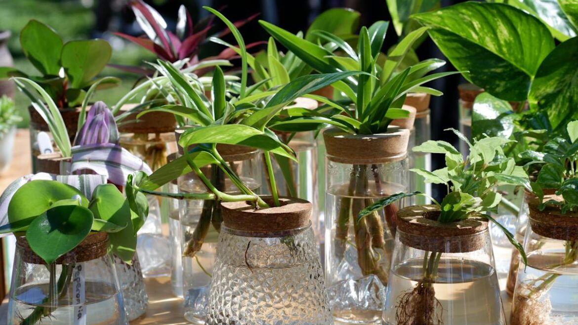 10 Easy Houseplants You Can Grow in Water—No Soil Required