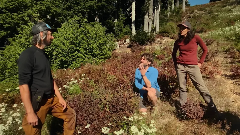 Zach Galifianakis on This Is a Gardening Show