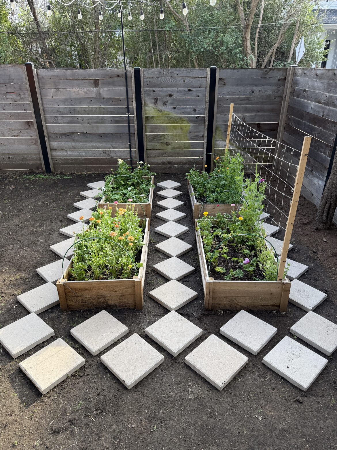 Renting advice for patio