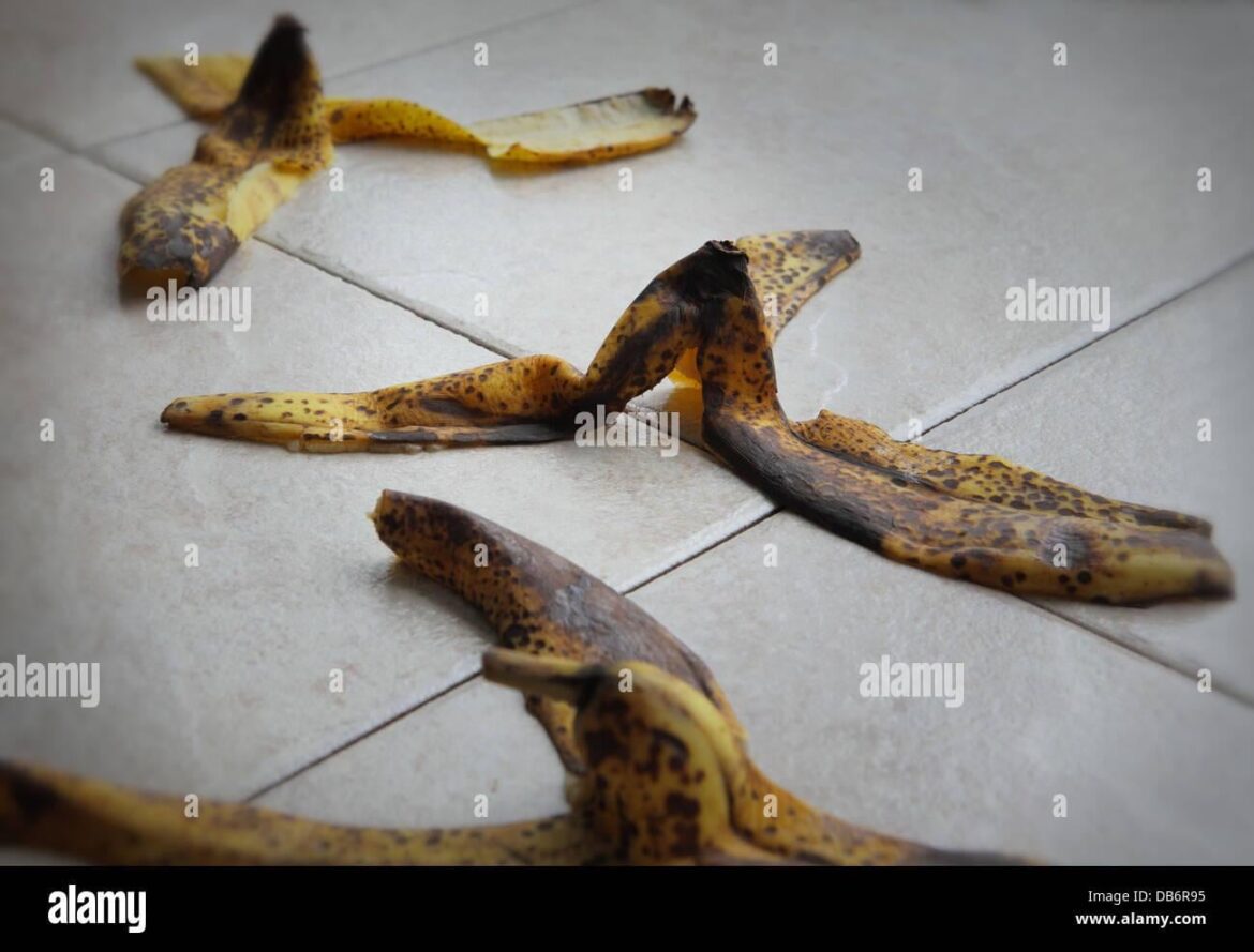 Please help me save my orchid! 😭