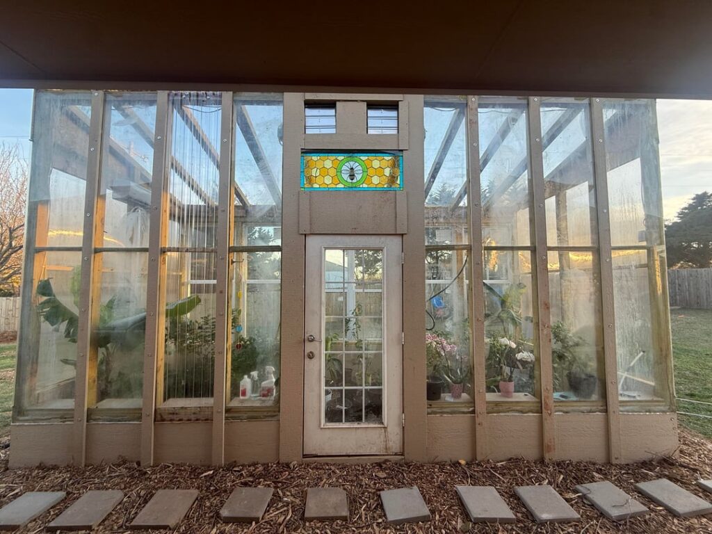 Tropical fruit tree hobby greenhouse
