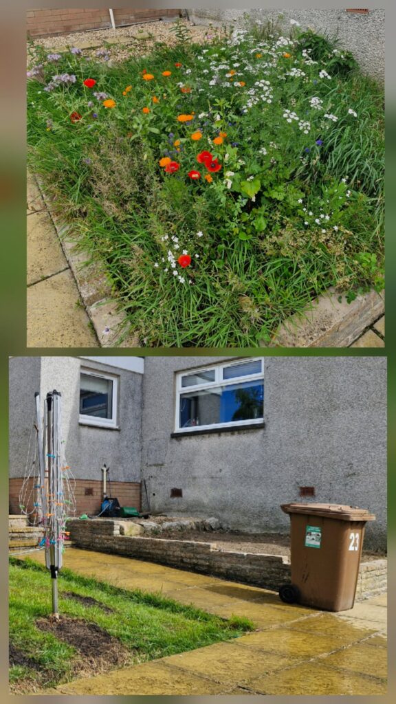 Vegetable Patch Advice Vegetable Patch Advice