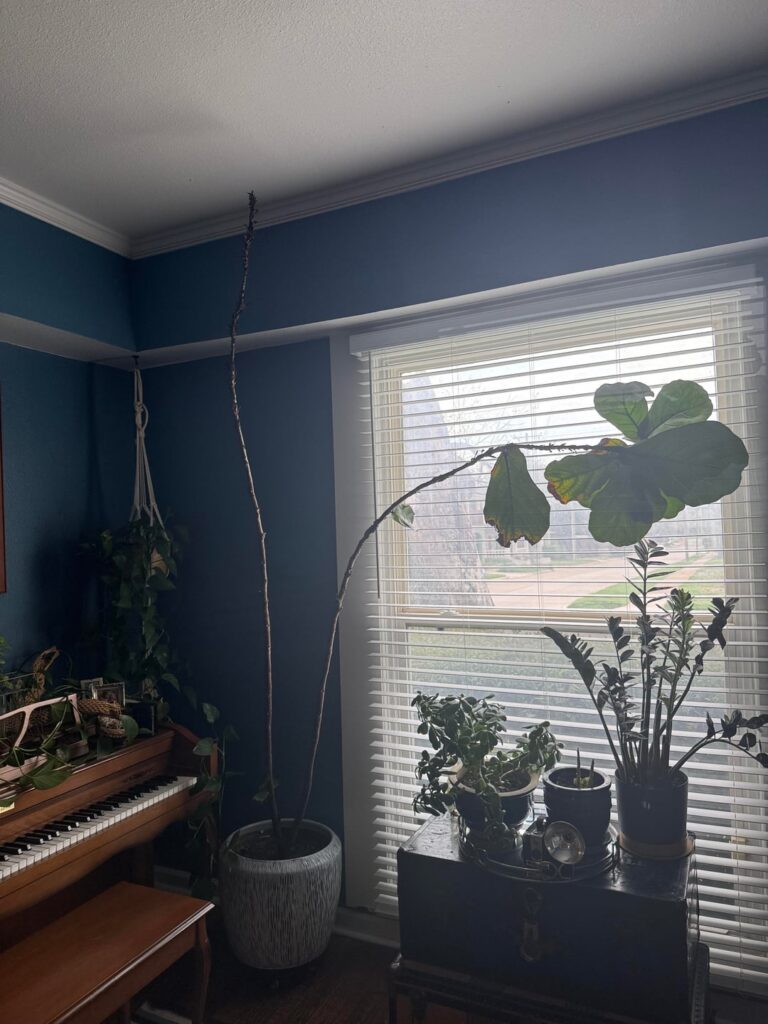 What should I do with this??