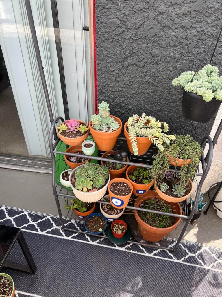 Just wanted to show off