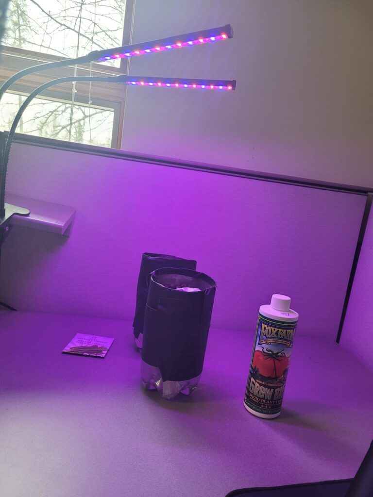 First time setup growing some Romaine Lettuce! First time setup growing some Romaine Lettuce!