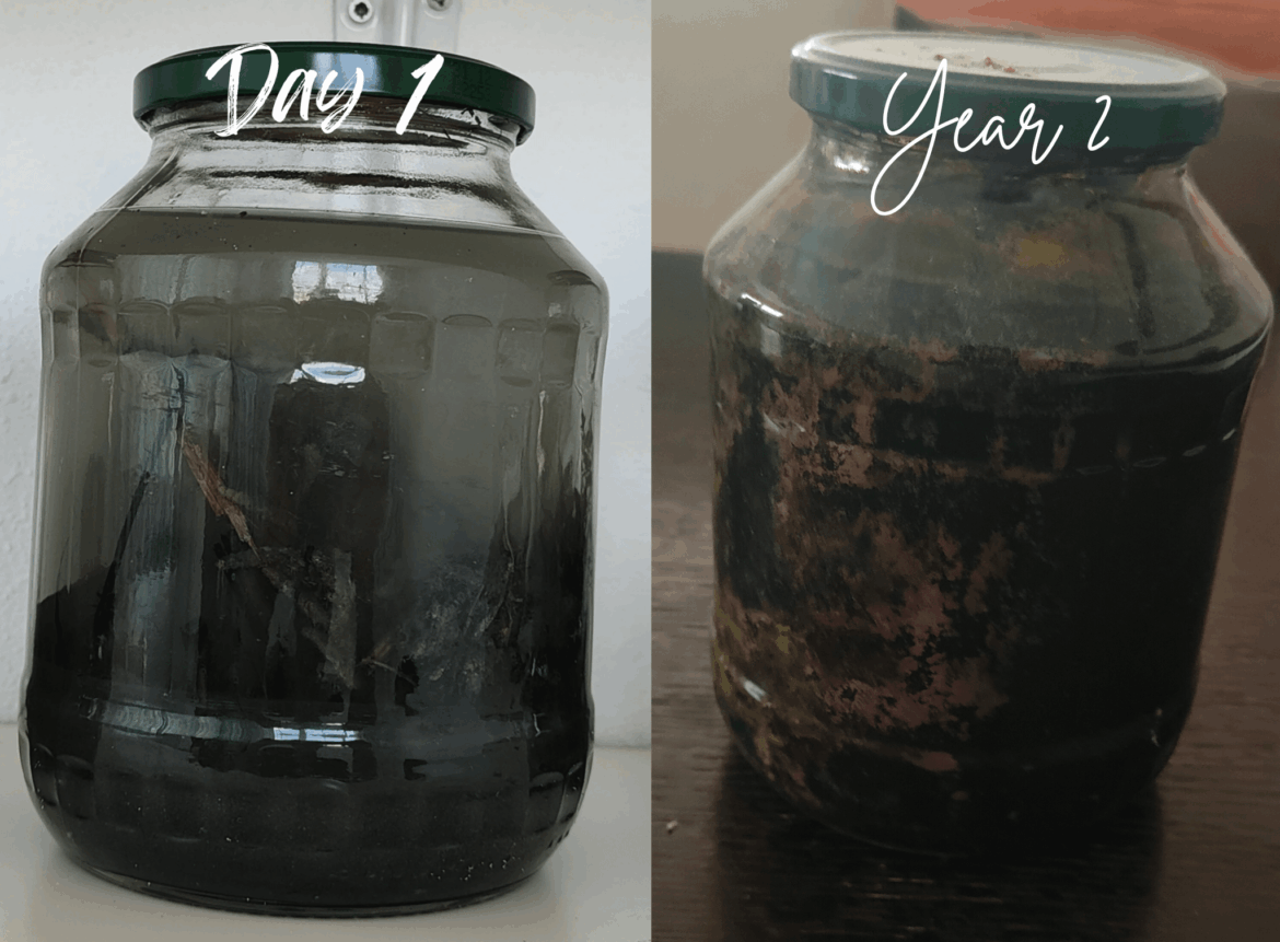 2 years of never touching a river ecosphere jar.